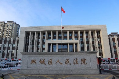黑龍江省雙城區人民法院——人臉識別通道系統